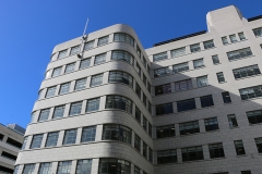 MBIE Stout St